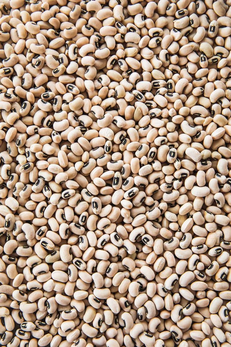 Soya