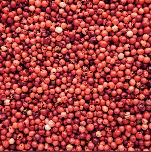 Red Jowar